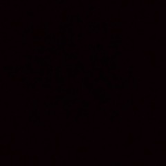Kyle nighta