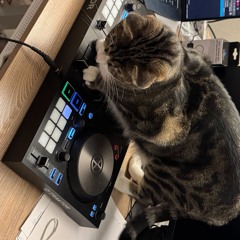 djmido