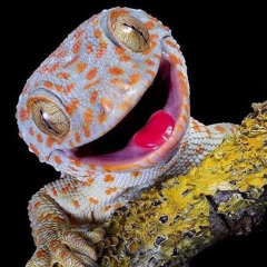 PsYcHoGeCkO