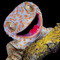 PsYcHoGeCkO