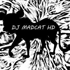 DJ MADCAT