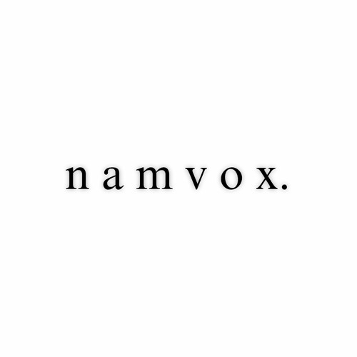 n4mvox’s avatar