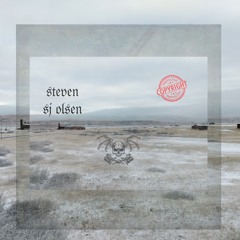 Steven SJ Olsen²