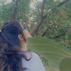 lida