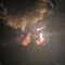 loudinsouth.19