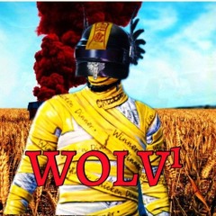 NW Wolv¹