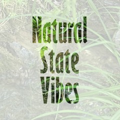 Natural State Vibes