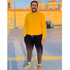 mody.gaml
