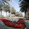 Saif Alsaif