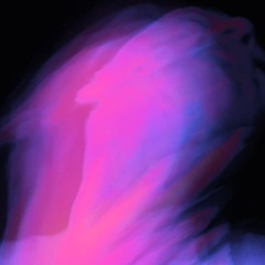 DAN.I