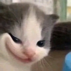 tôi yêu em 😽❤️
