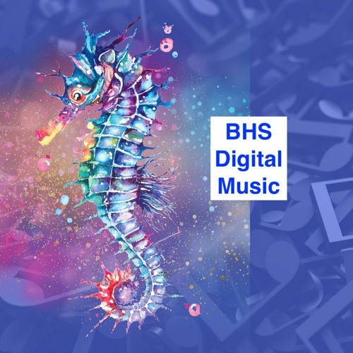 BHS Digital Music’s avatar