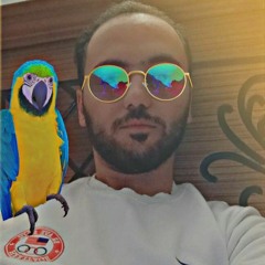 Mohamed Gaber