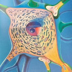 Vidok