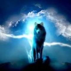 JoeTheWolf