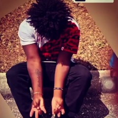 Willie2x