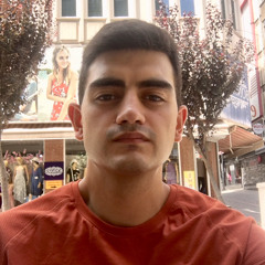Mehmet Can Altan