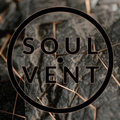 Soulvent Records 2022 Year Mix (mixed by Mike Drop)