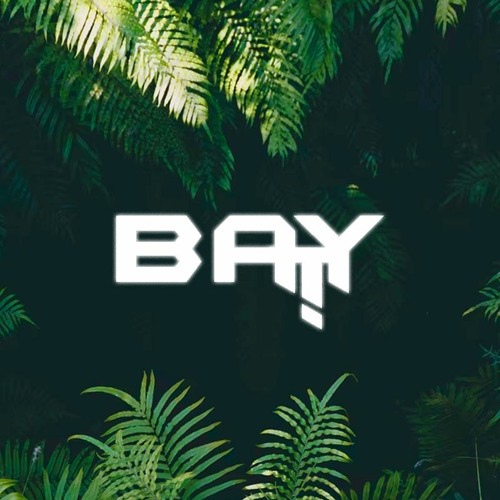 Baytee Remix’s avatar