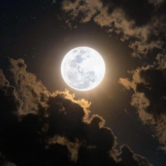 Feezer _ To Tanha (320).mp3