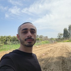 Tal Bibi