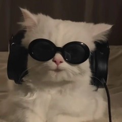 psycalliedelic