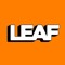 Leaf_dnb