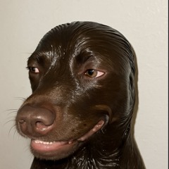 @bvandunkk