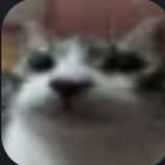 Amebah