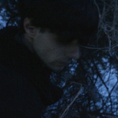 Luca Fitzgerald