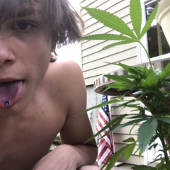 GLOCKYTOPPPY