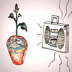 Music for Plants