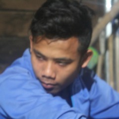 Singgi firmansyah