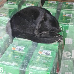 Ornellaaaa