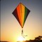 Brite Kites