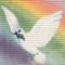 Lovebird2007