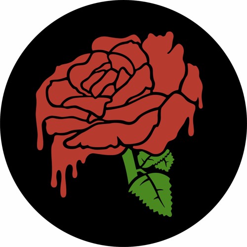 Templeton Rose’s avatar