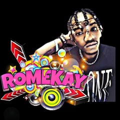 Romekay-The Plug S.A