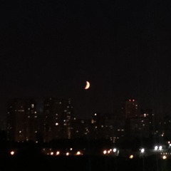 moonlover