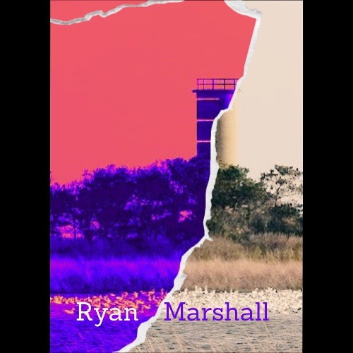 Go (ft. San Holo & RUNN)Ryan Marshall Tropical Remix