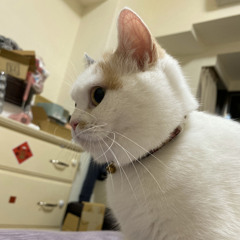 木子李