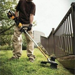Weedeater