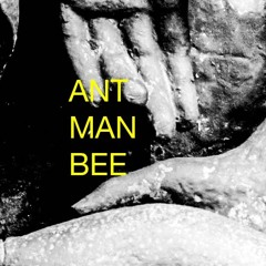 ant man bee