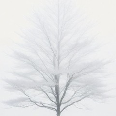 Трахальщик мусорных баков