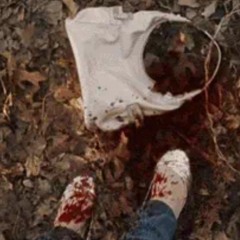 roadkill