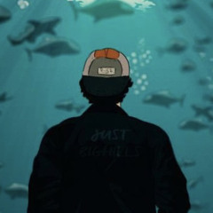 雨の足跡