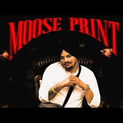 New punjabi songs 2025