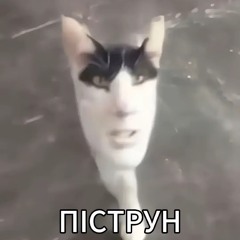 ПIСТРУН