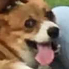 ปลาร้า บอมเบอร์ ตู้มมมมมมมมมมมมมมมมม