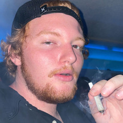 Gingi